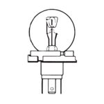 Globe Bulb 24V, 55/50W, P45t, R2